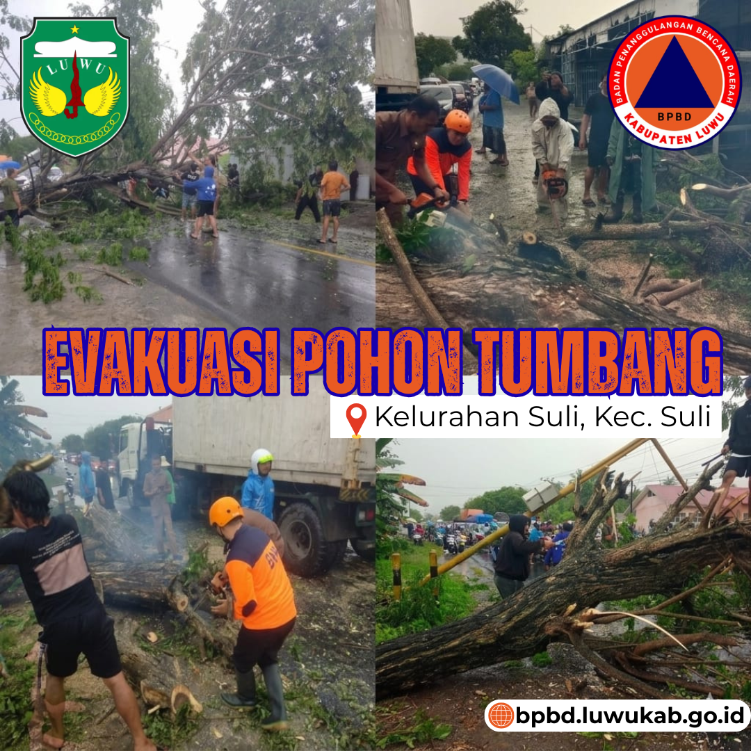 Tim TRC BPBD Luwu melakukan evakuasi pohon tumbang